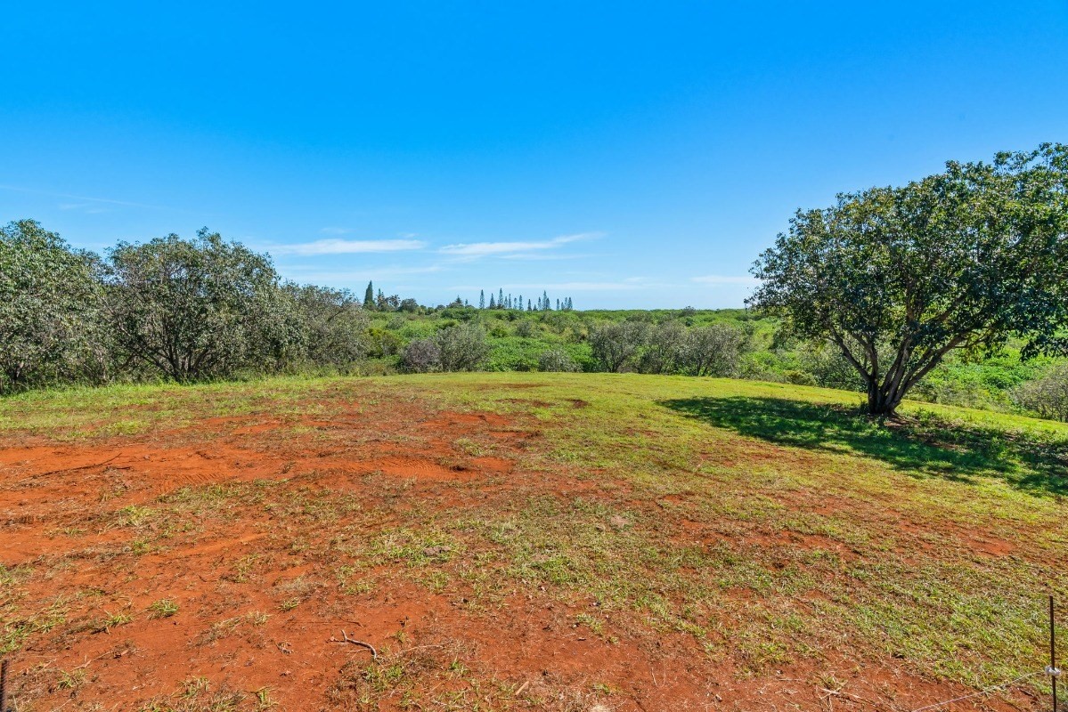3 Ihu Road Kalaheo, HI 96741 - Photo 8 of 20 Gallery Image 8