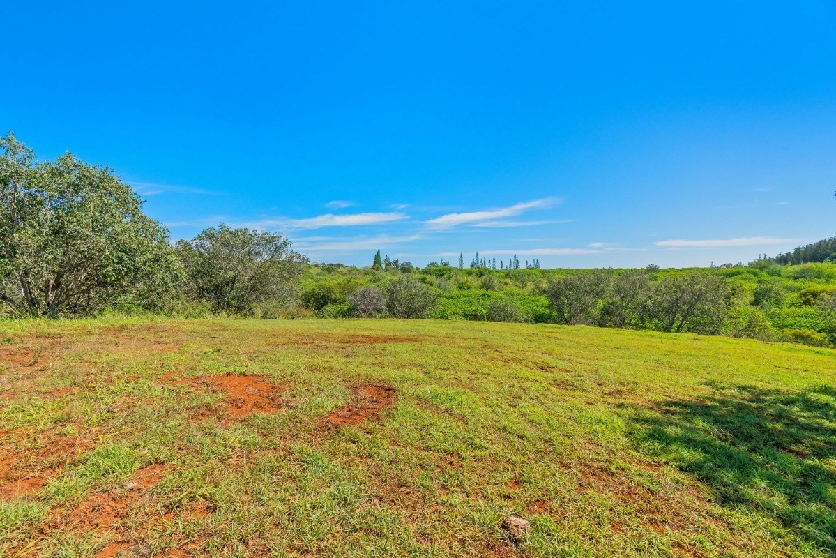 3 Ihu Road Kalaheo, HI 96741 - Photo 10 of 20 Gallery Image 10