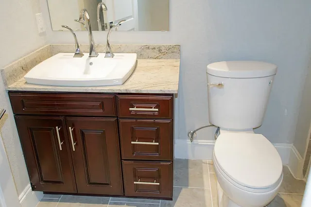 a bathroom with a toilet a sink and mirror