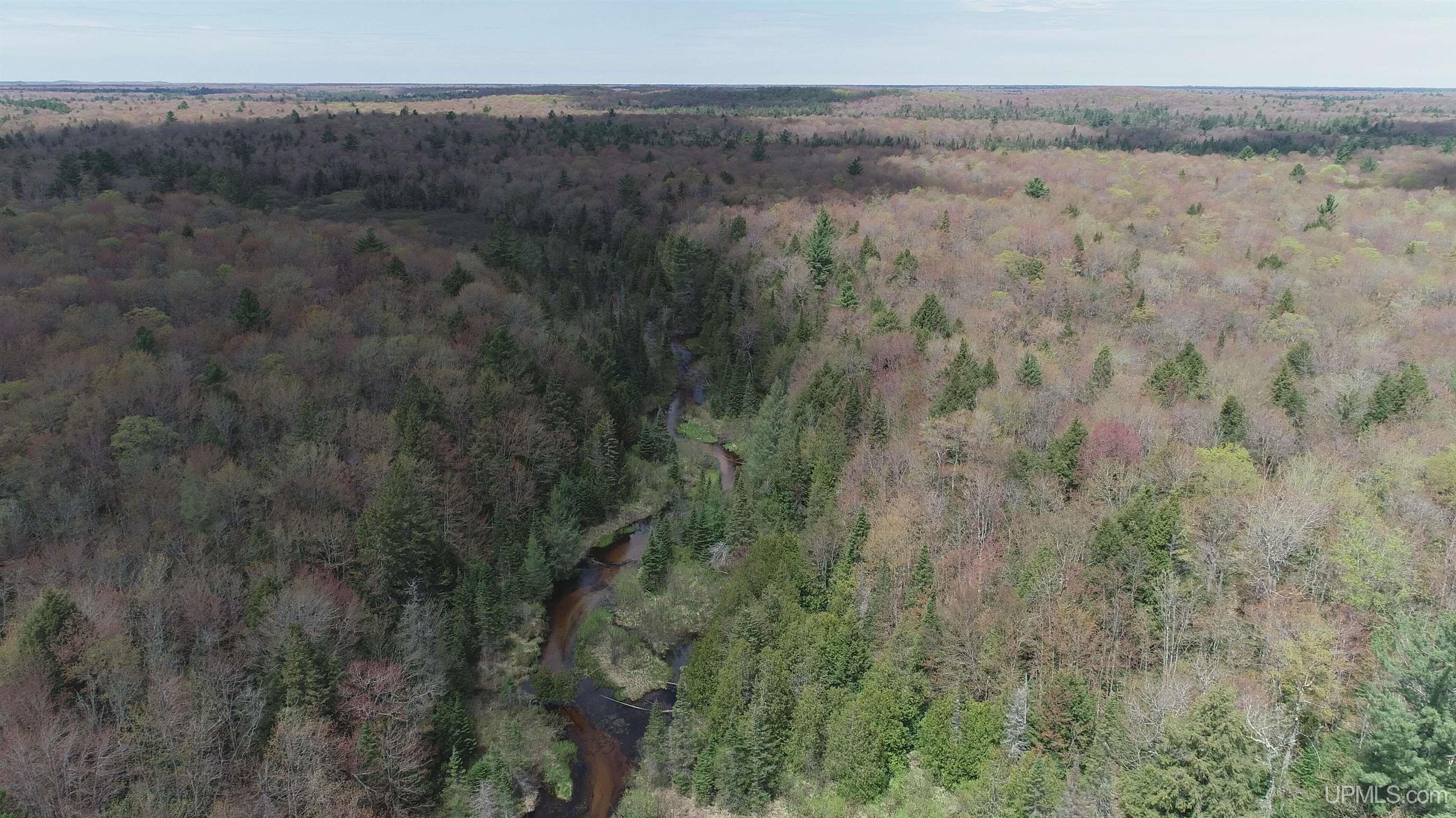 450 Rd Seney Mi 49883 Road Seney, MI 49883 - Photo 26 of 33
