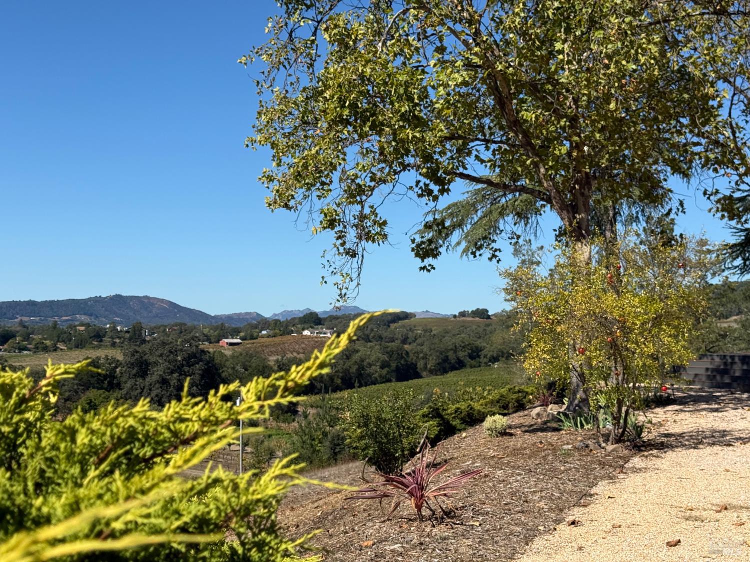 1676 Chiquita Road Healdsburg, CA 95448 - Photo 12 of 45 a view of a city with a mountain