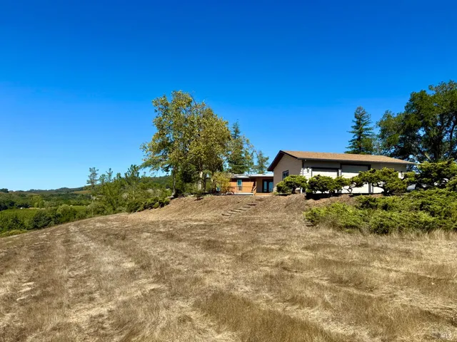 a view of a yard with plants