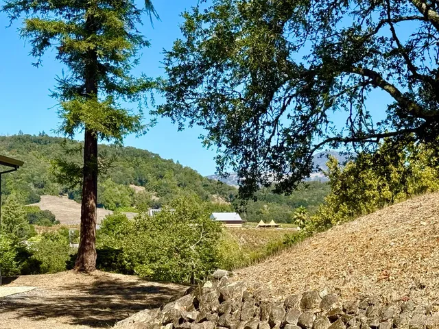 a view of a road with a tree