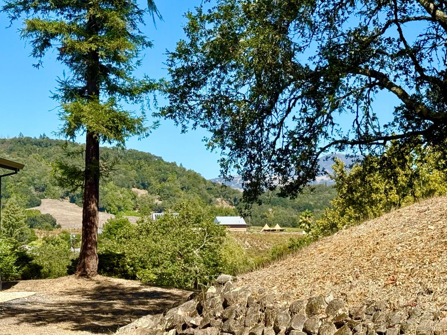 1676 Chiquita Road Healdsburg, CA 95448 - Photo 35 of 45 a view of a yard with plants