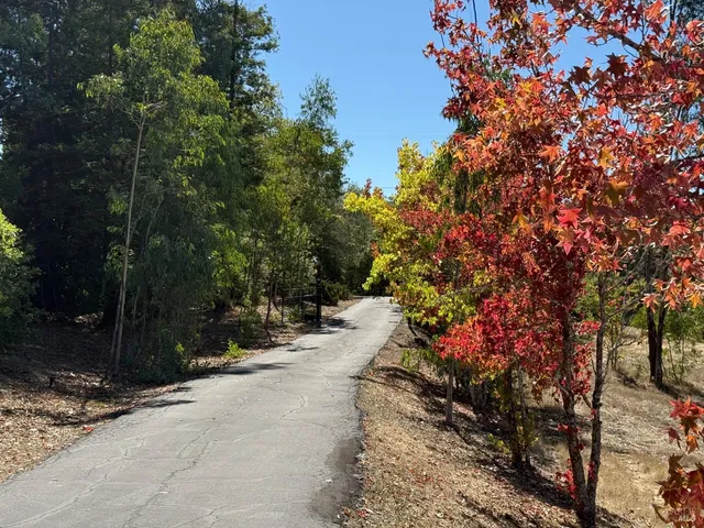 an aerial view of residential houses with outdoor space and river