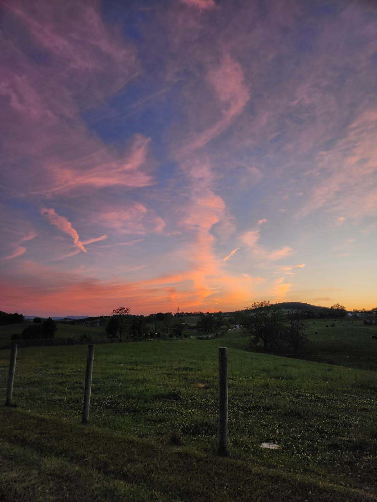 3390 Spring Creek Road Bridgewater, VA 22812 - Photo 54 of 61