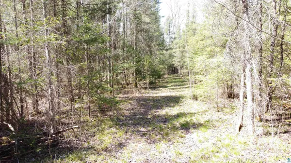 $395,000 | 1170 County Hwy B, Brule, WI 54820