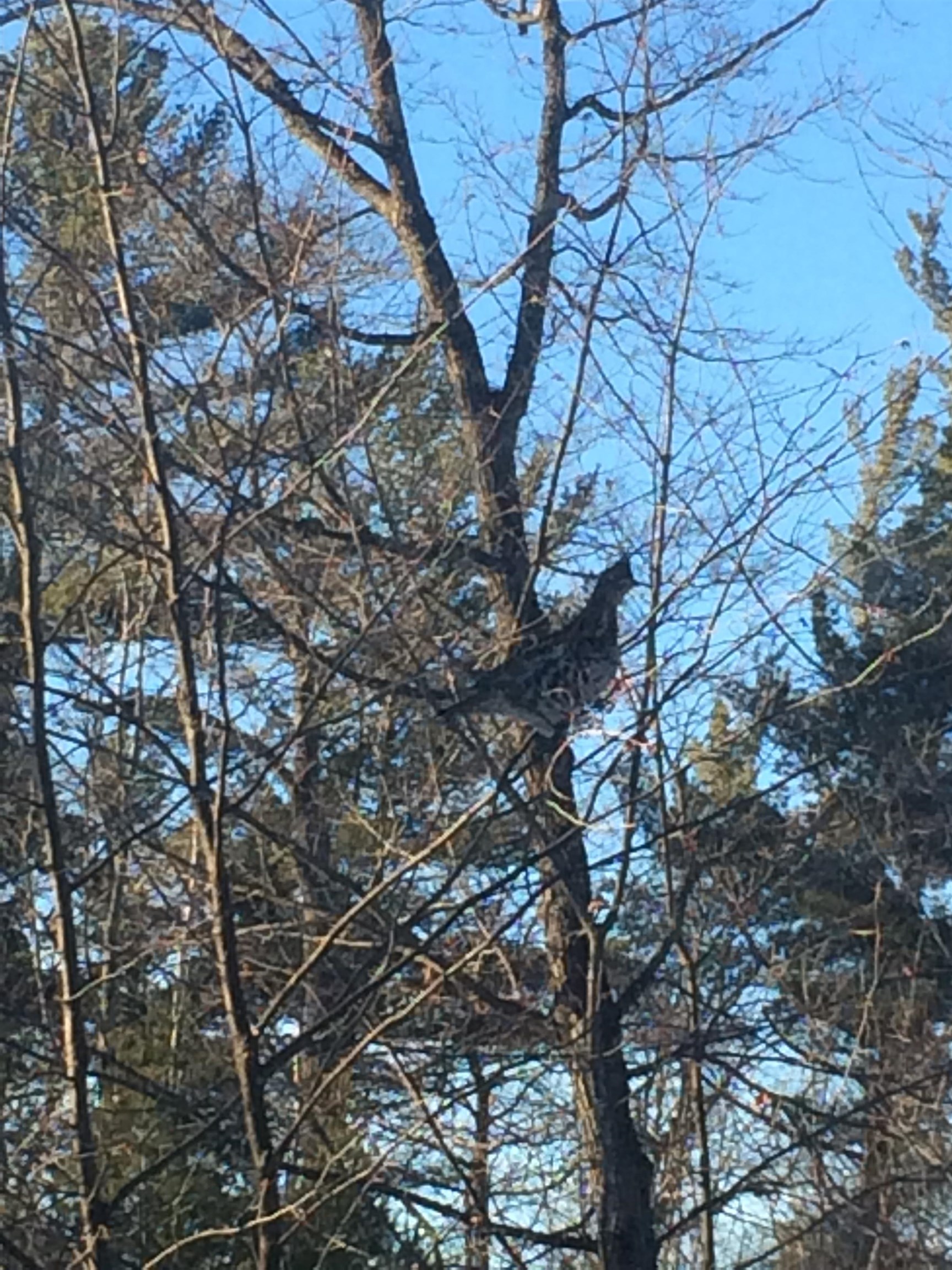 1170 County Hwy B Brule, WI 54820 - Photo 48 of 57