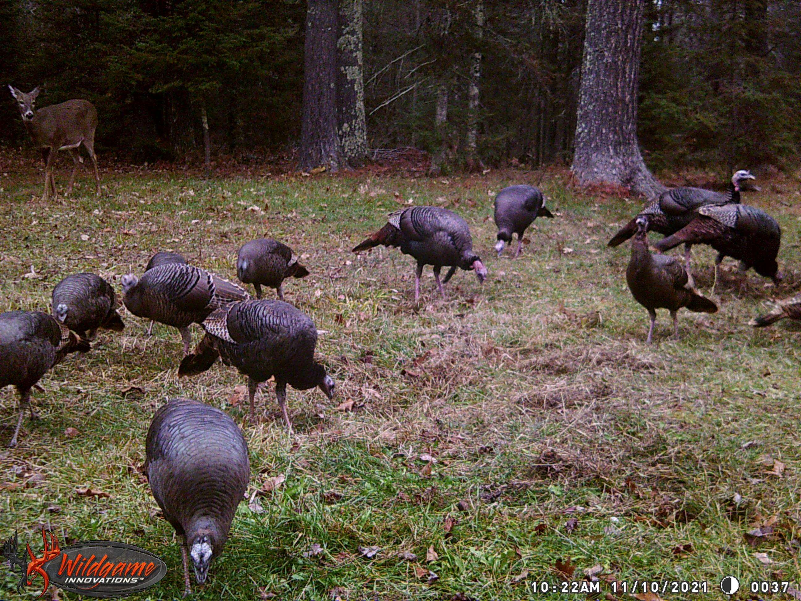 1170 County Hwy B Brule, WI 54820 - Photo 50 of 57