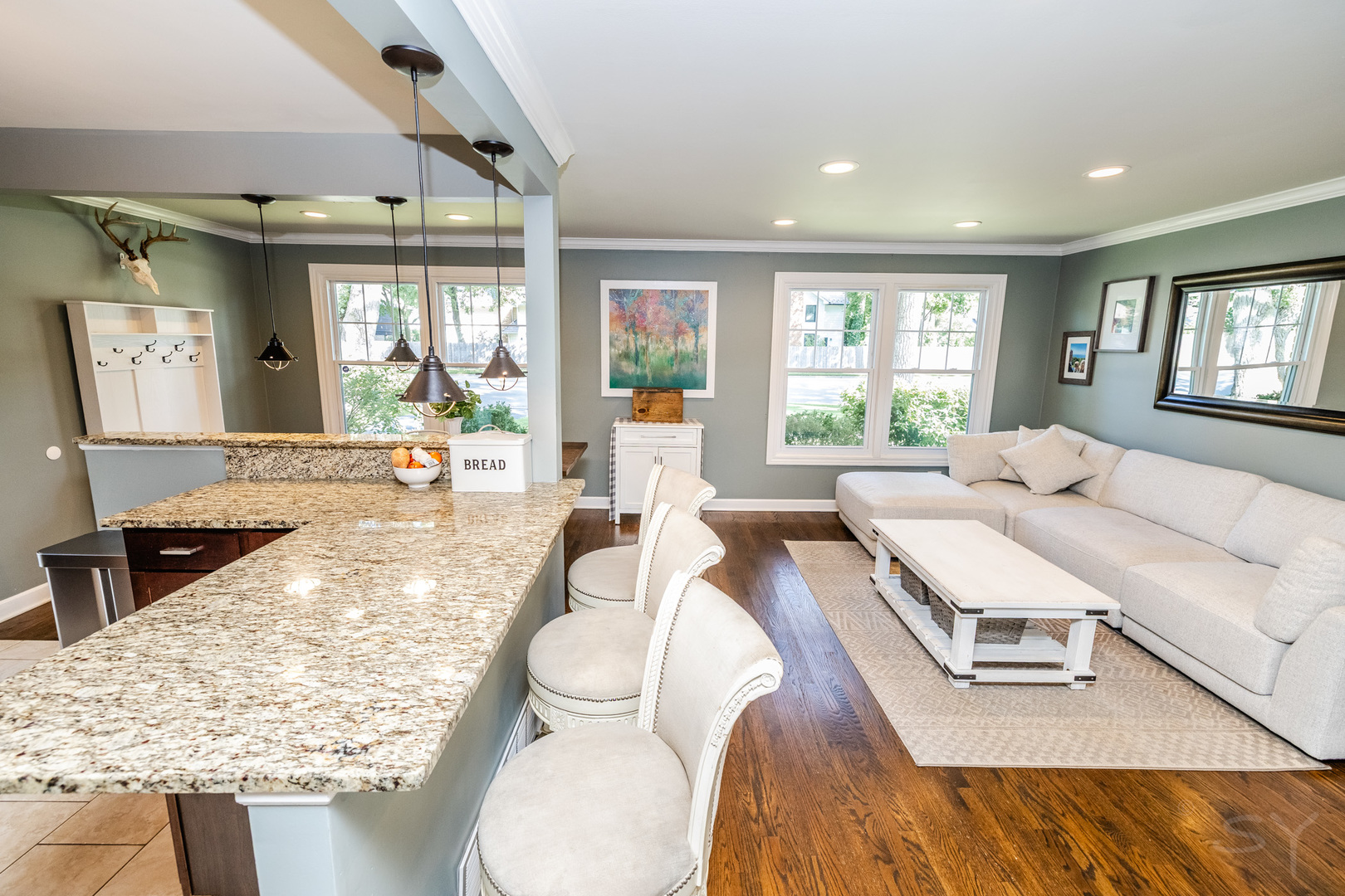 449 Geneva Road Glen Ellyn, IL 60137 - Photo 6 of 21 a living room with furniture and a large window