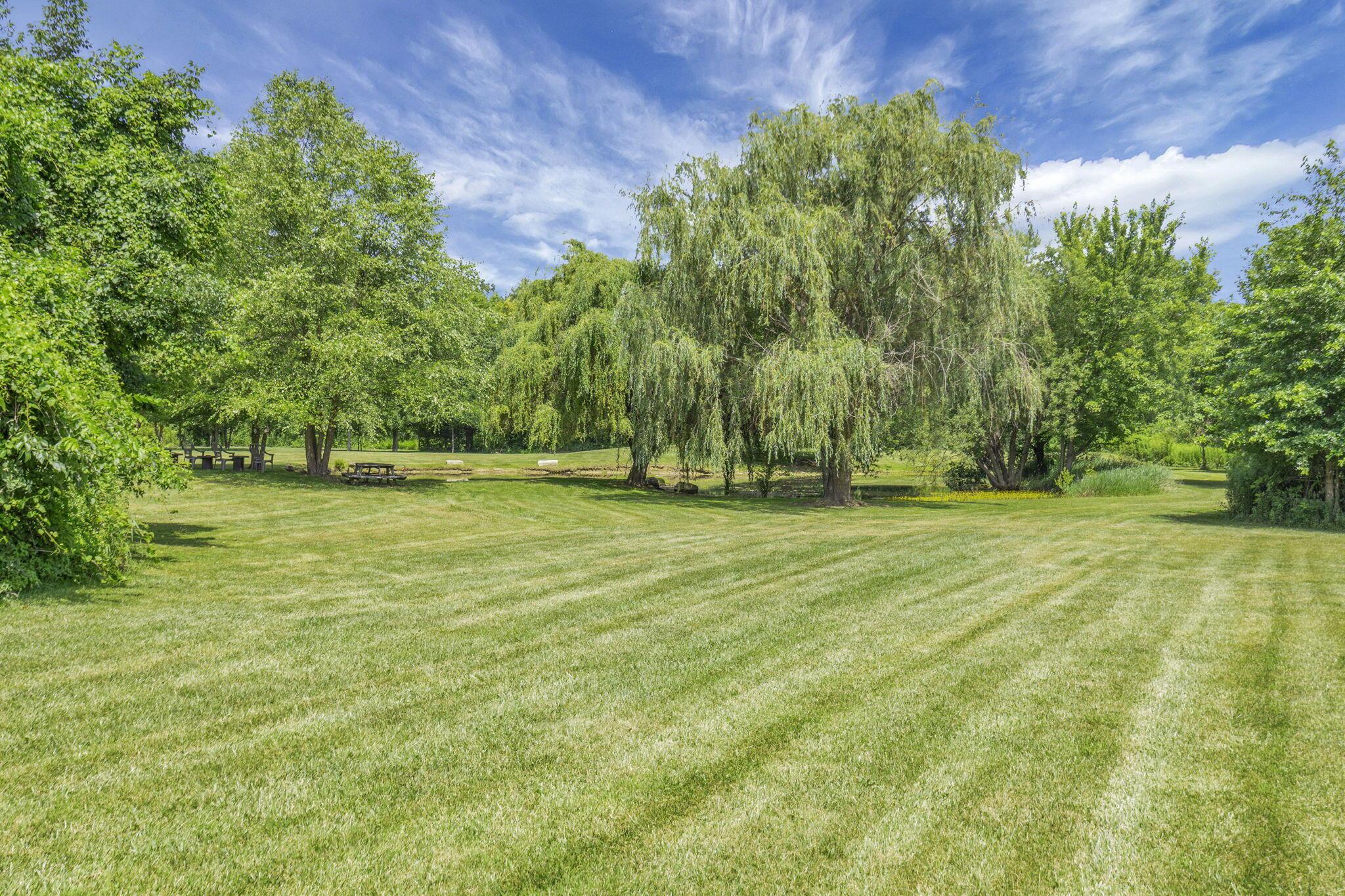 6646 Duffy Road Delaware, OH 43015 - Photo 53 of 61 Back Lot View