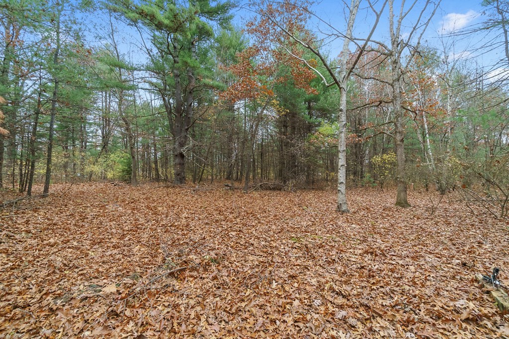 4 Baron Way Littleton, MA 01460 - Photo 8 of 10 a backyard of a house with lots of green space