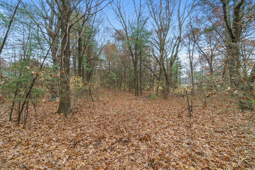 4 Baron Way Littleton, MA 01460 - Photo 9 of 10 a backyard of a house with lots of green space