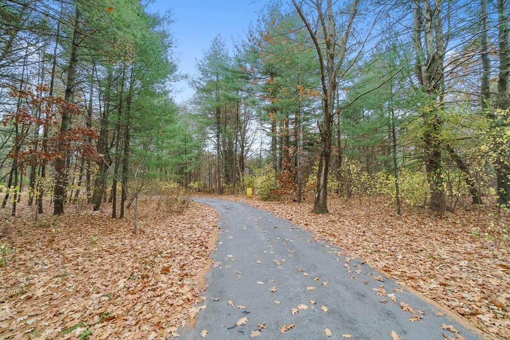 4 Baron Way Littleton, MA 01460 - Photo 10 of 10 a road view with large trees