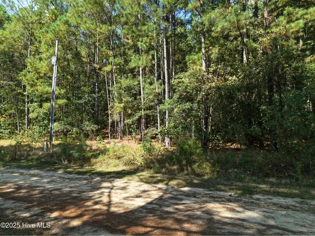 $39,999 | Lot 39-xx Lot 39-xx Deer Trail, Raeford, NC 28376