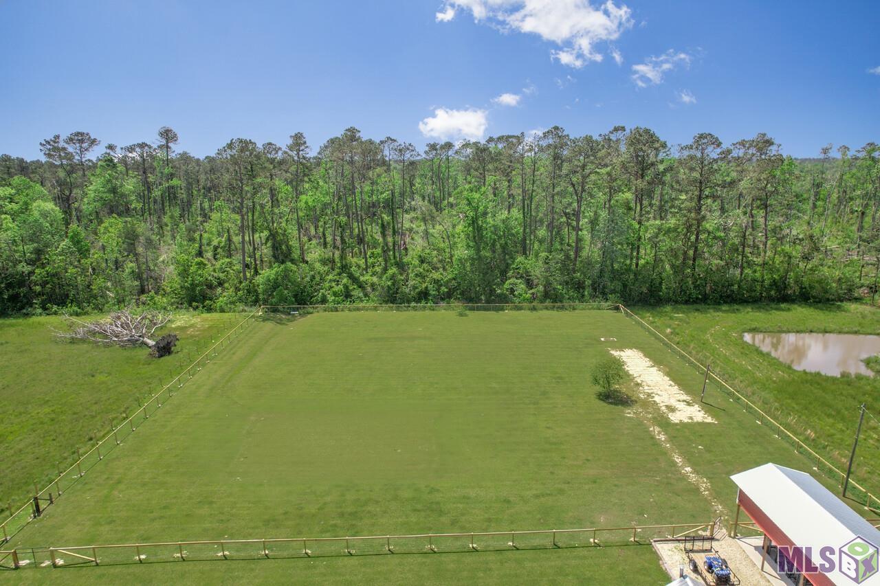 30249 Gill Road Albany, LA 70711 - Photo 26 of 26 Gallery Image 26