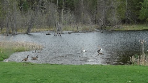 383 Page Pond Road Albany, VT 05845 - Photo 18 of 33