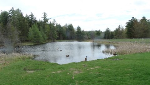 383 Page Pond Road Albany, VT 05845 - Photo 19 of 33