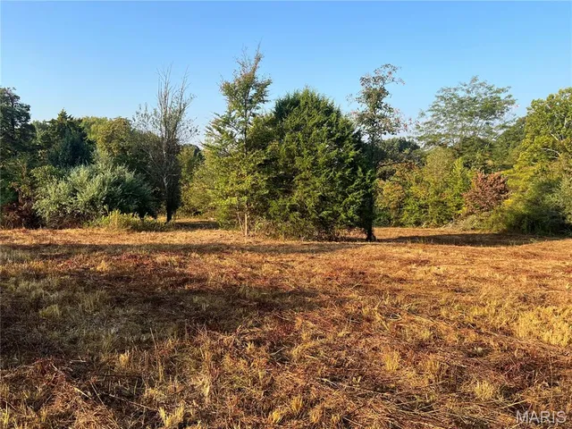 $150,000 | 4271 County Road 290, Puxico, MO 63960