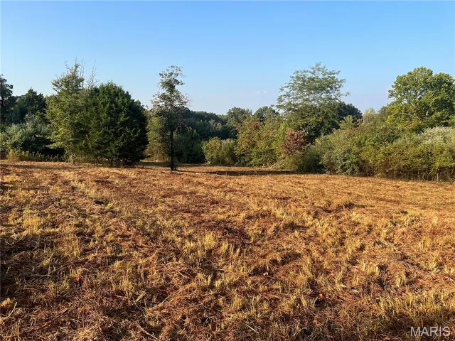 $150,000 | 4271 County Road 290, Puxico, MO 63960