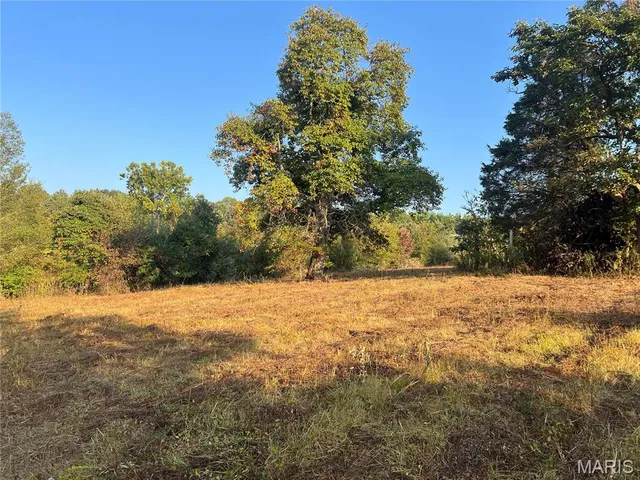 $150,000 | 4271 County Road 290, Puxico, MO 63960