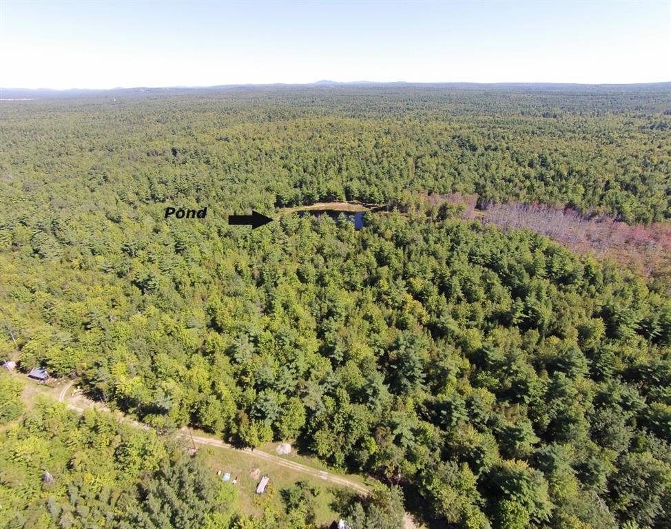 217 Smith Brook Road Ellsworth, ME 04605 - Photo 11 of 23 Quiet Pond