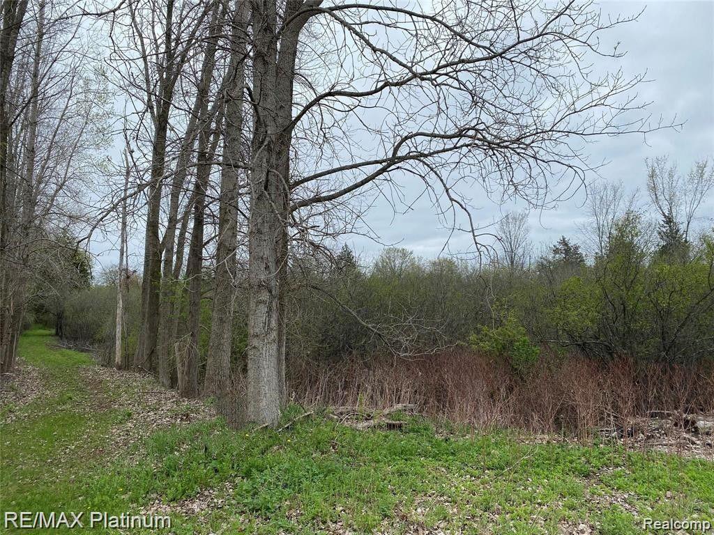 0 Joey Drive Pinckney, MI 48169 - Photo 5 of 5
