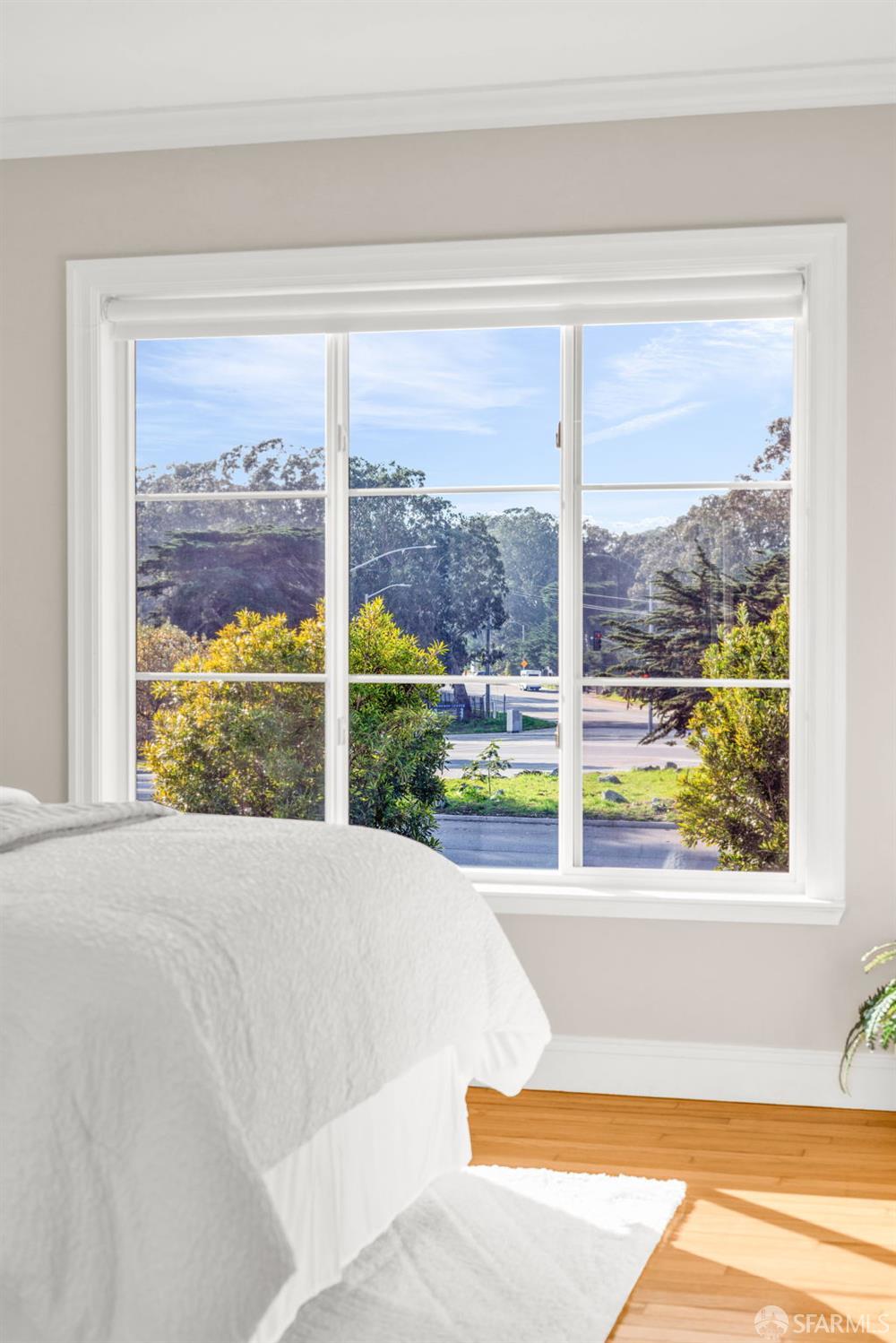 311 Lakeshore Drive San Francisco, CA 94132 - Photo 38 of 70