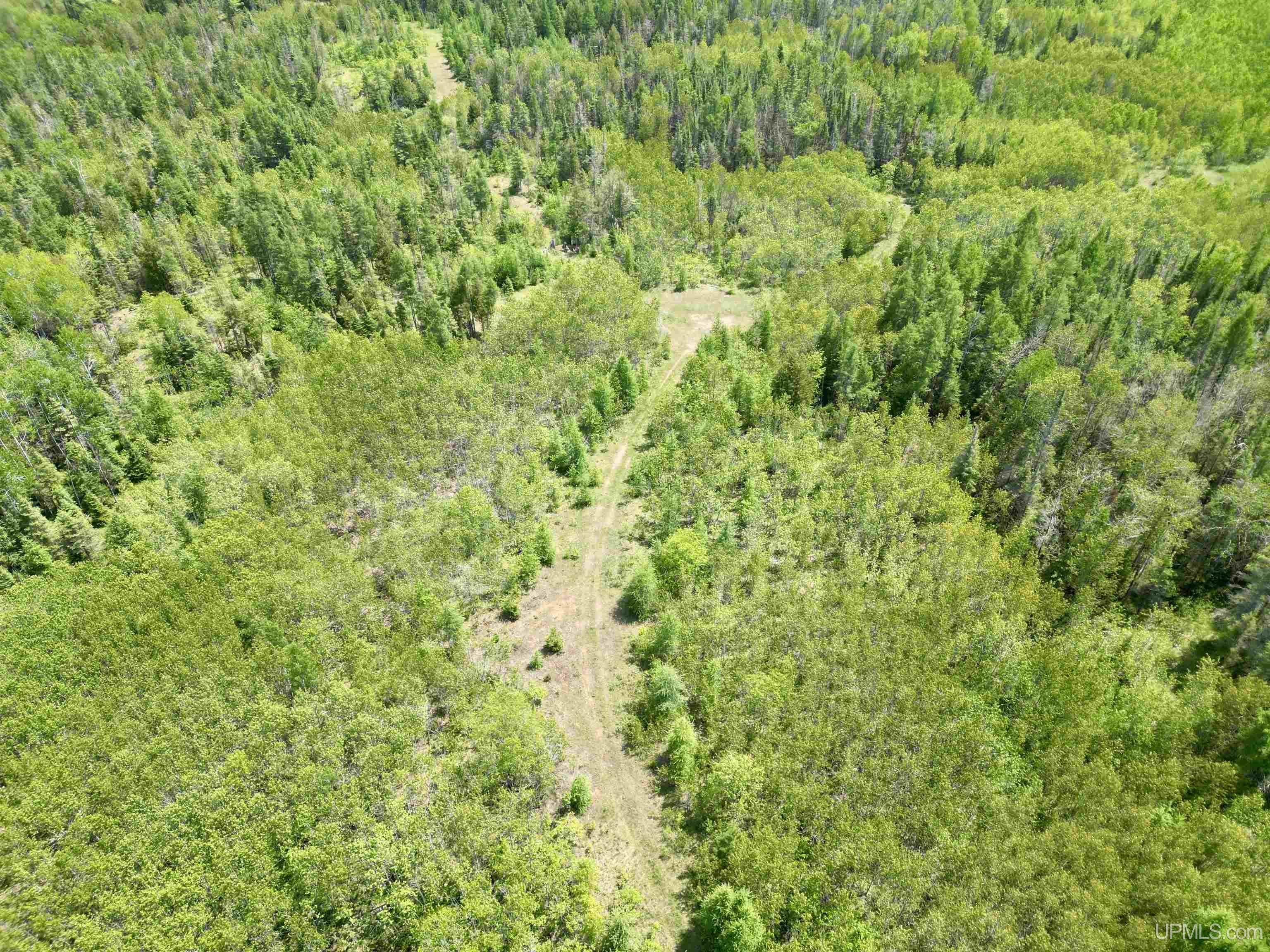 400 Rd Perronville Mi 49807 Road Bark River, MI 49807 - Photo 15 of 30