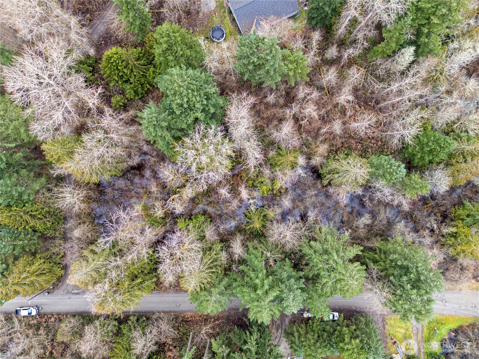 29909 68th Avenue South Roy, WA 98580 - Photo 4 of 8