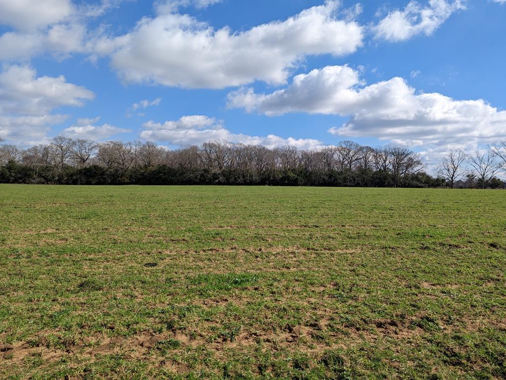 0 County Road 112 Dothan, AL 36303 - Photo 2 of 10