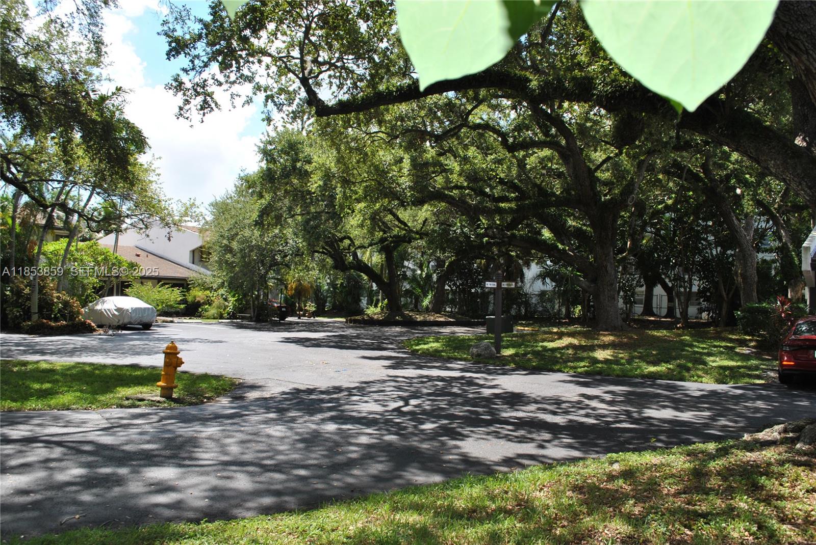 19941 Northeast 5th Court, Unit 3M Miami, FL 33179 - Photo 24 of 25 a view of a park