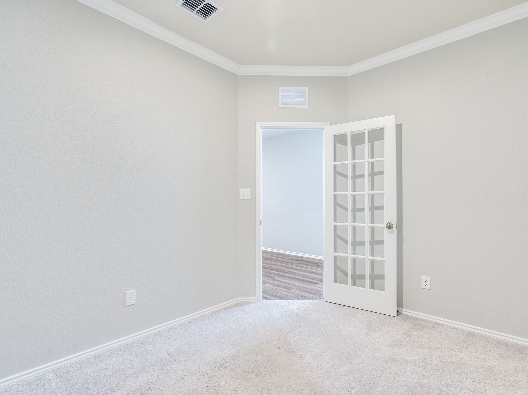 388 Begonia Street Buda, TX 78610 - Photo 19 of 21 Carpeted spare room with crown molding and baseboards