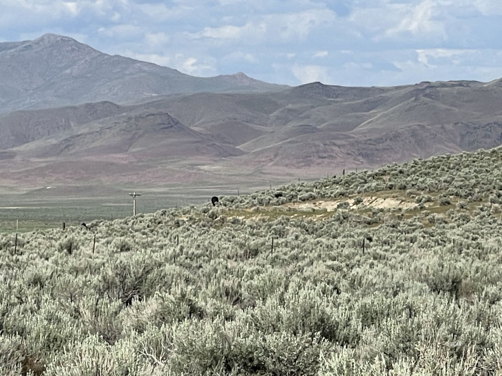 Button Point Golconda, NV 89414 - Photo 22 of 23