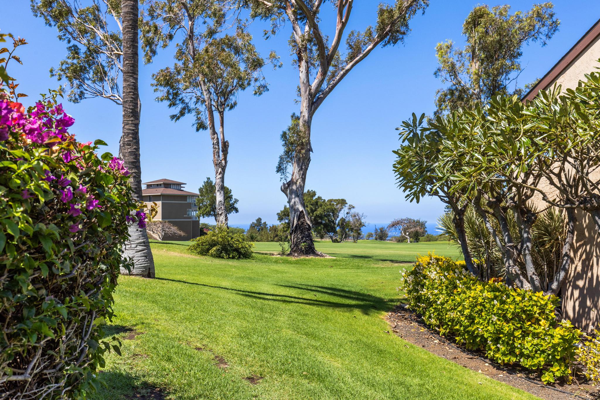 68-3840 Lua Kula Street, Unit F203 Waikoloa, HI 96738 - Photo 28 of 29 a view of a golf course with a tree