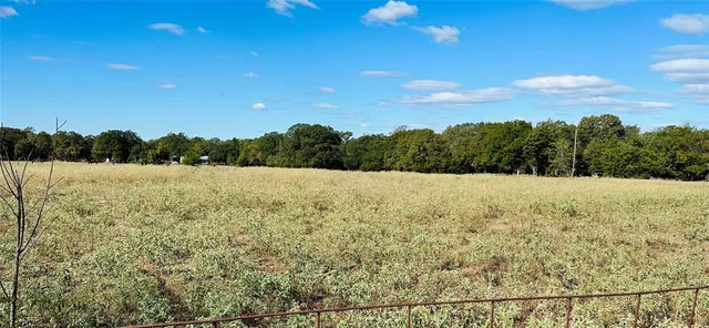 a view of a yard with a house in the background