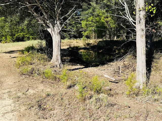 a view of a yard with an outdoor space