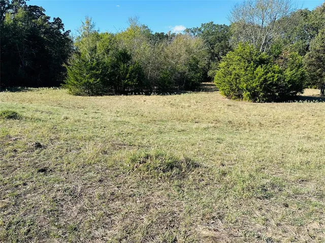a view of empty room with trees