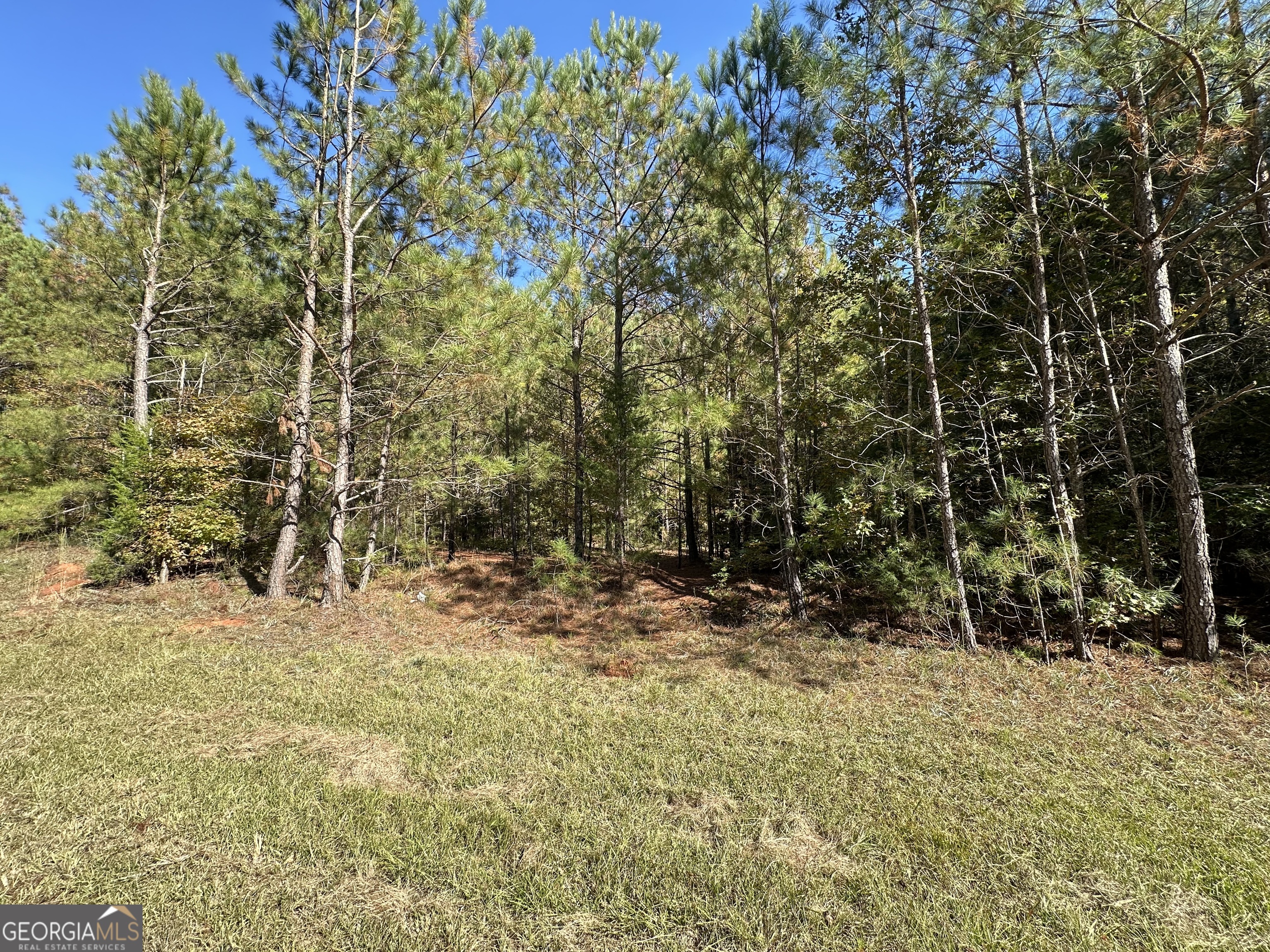 0 Crook Road Lincolnton, GA 30817 - Photo 2 of 4 a view of bushes and trees