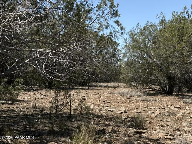 356 B Sierra Verde Ranch Seligman, AZ 86337 - Photo 1 of 6 a view of a yard with trees
