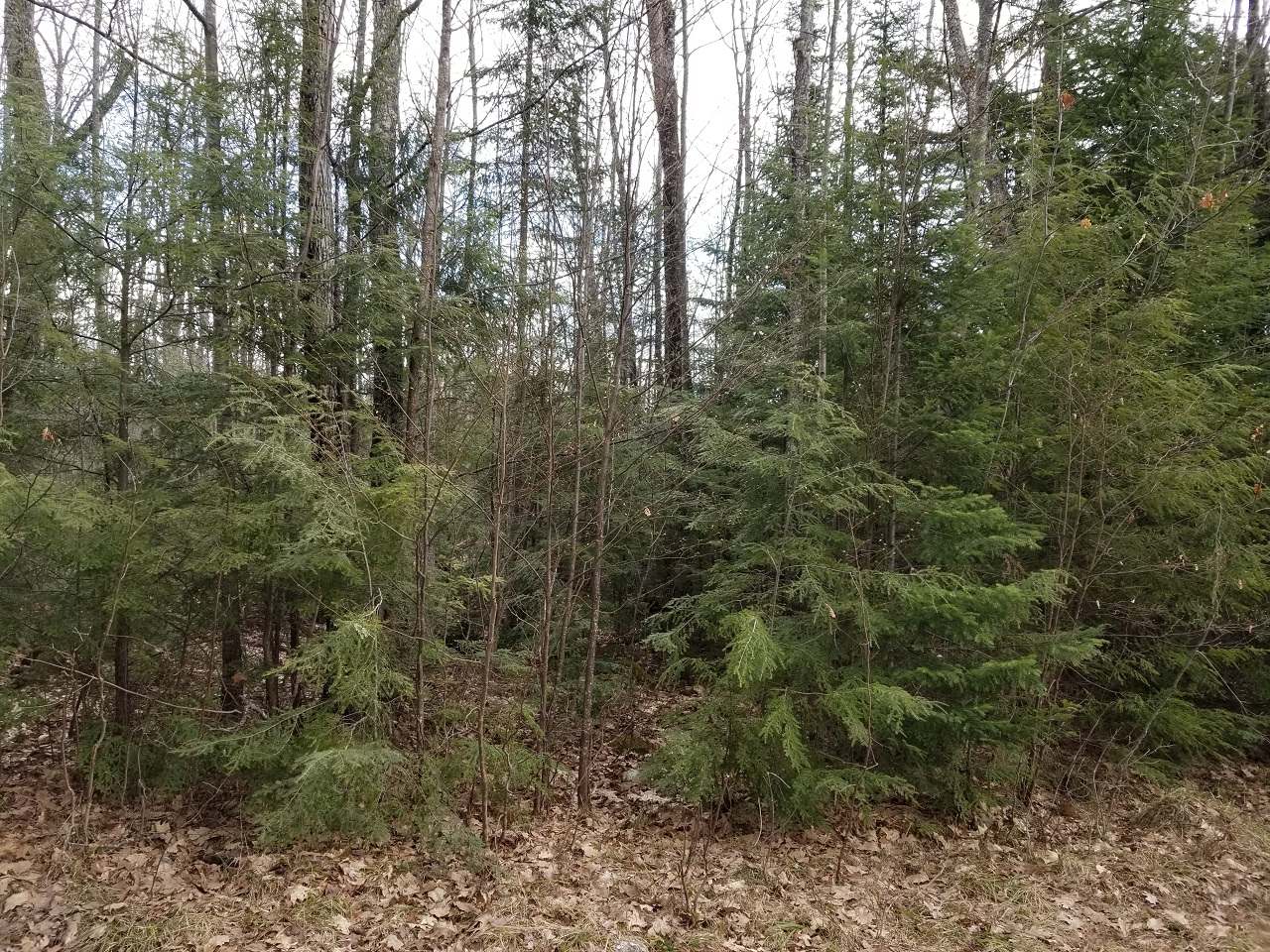Lot 4 John Dul Road Mercer, WI 54547 - Photo 23 of 30 Gallery Image 23