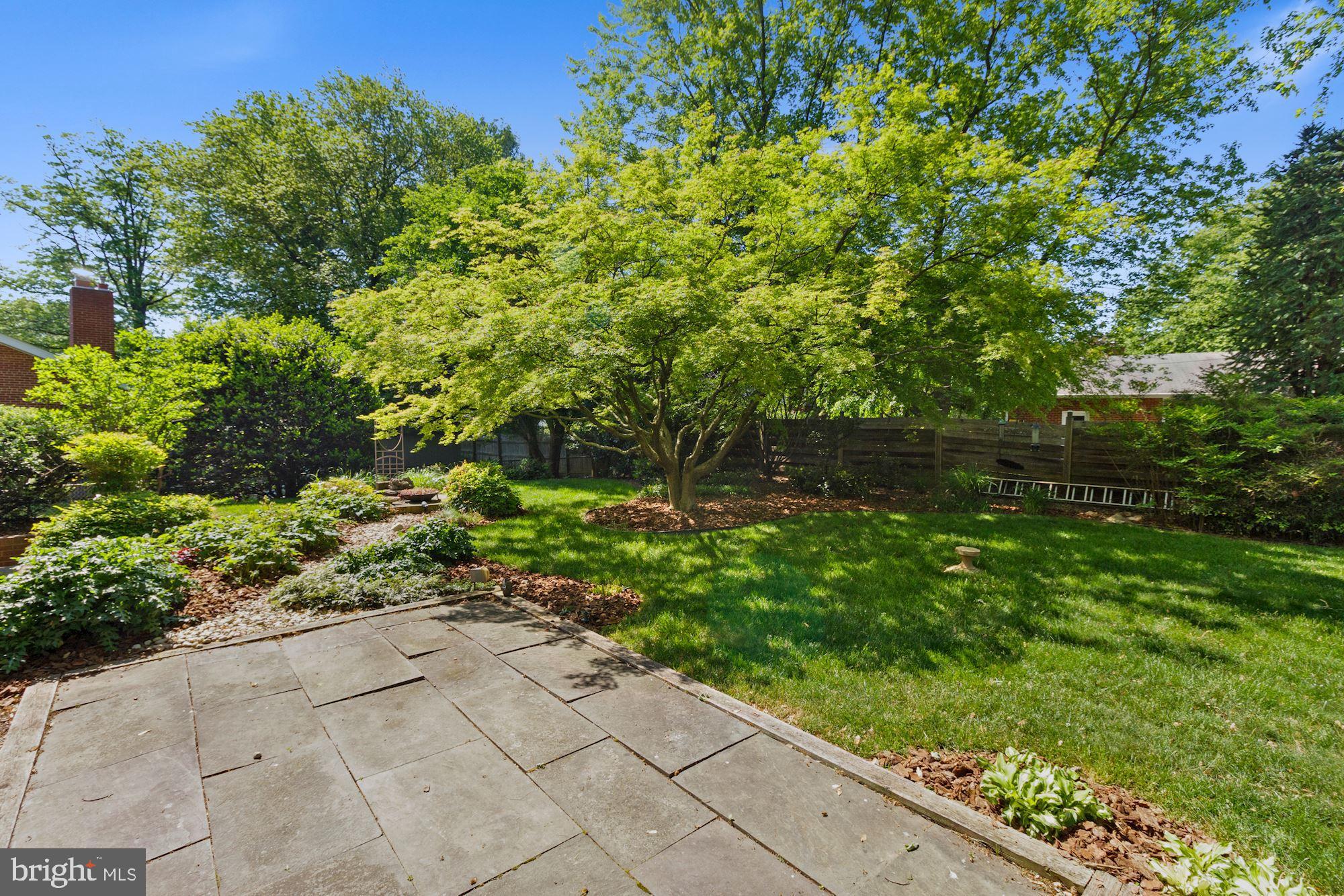 1512 Constance Street Silver Spring, MD 20902 - Photo 19 of 22 Patio area off dining room
