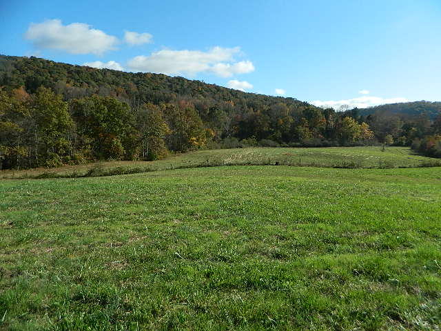 264 Robinette Road Oliver Springs, TN 37840 - Photo 11 of 24 DSCN5625