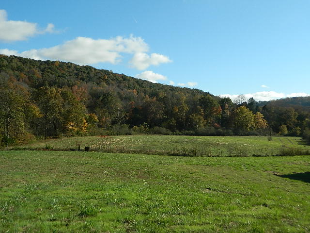 264 Robinette Road Oliver Springs, TN 37840 - Photo 13 of 24 DSCN5629