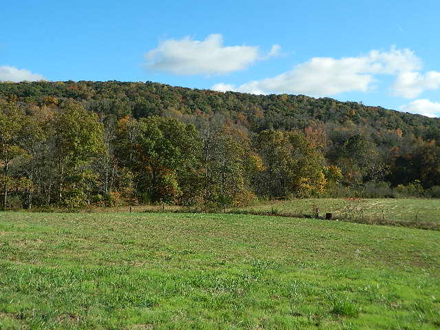 264 Robinette Road Oliver Springs, TN 37840 - Photo 14 of 24 DSCN5630