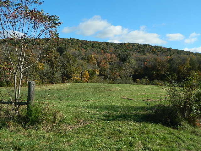 264 Robinette Road Oliver Springs, TN 37840 - Photo 15 of 24 DSCN5634