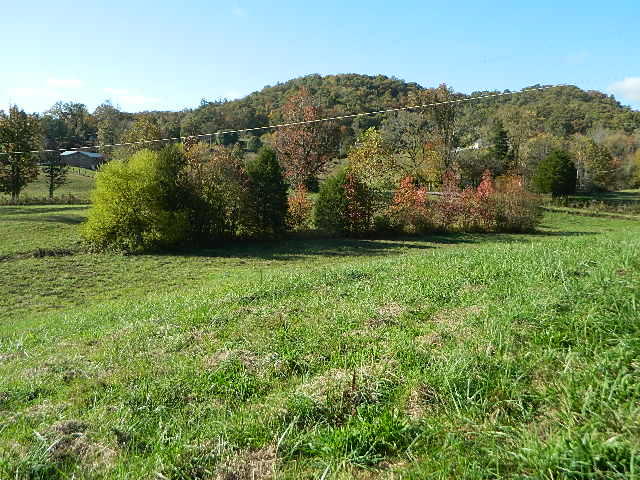264 Robinette Road Oliver Springs, TN 37840 - Photo 16 of 24 DSCN5636