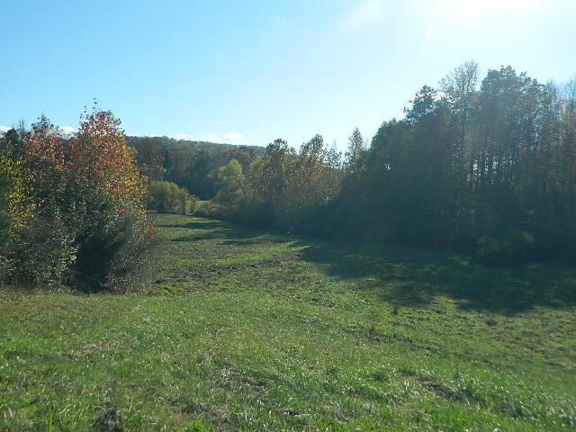 264 Robinette Road Oliver Springs, TN 37840 - Photo 18 of 24 DSCN5638