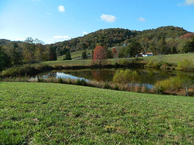 264 Robinette Road Oliver Springs, TN 37840 - Photo 5 of 24 DSCN5623