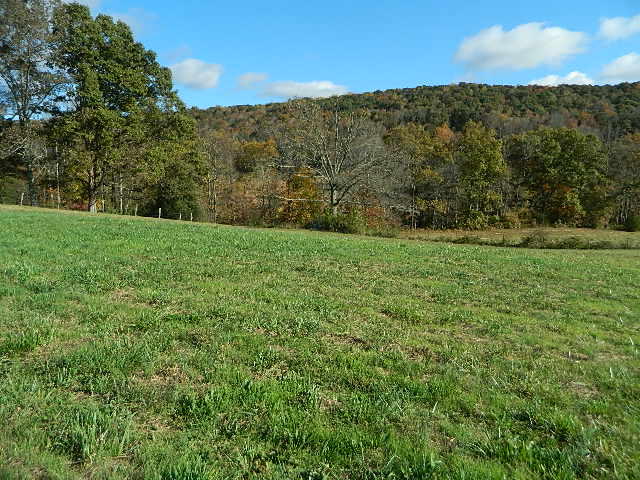 264 Robinette Road Oliver Springs, TN 37840 - Photo 7 of 24 DSCN5624